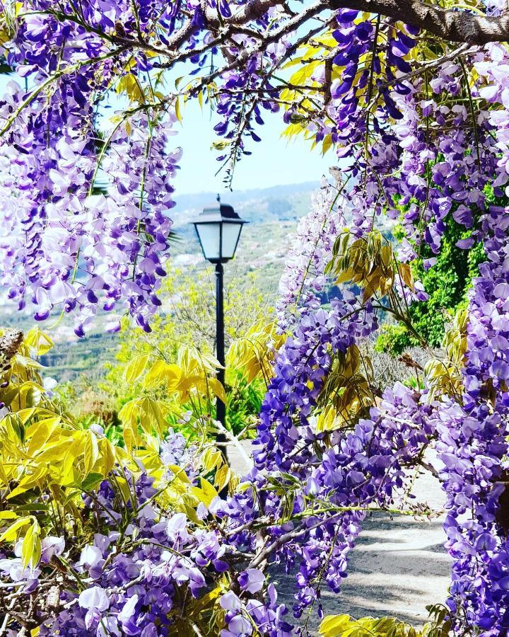 ホテル Quinta Do Cabouco リベイラ・ブラーヴァ エクステリア 写真