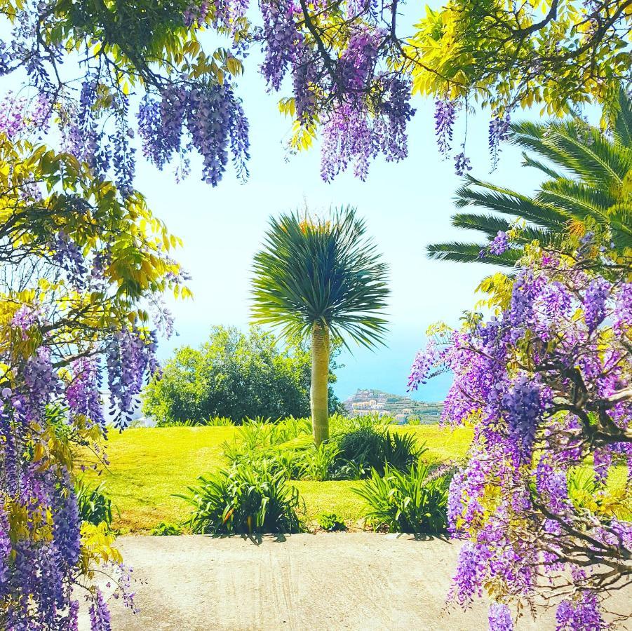 ホテル Quinta Do Cabouco リベイラ・ブラーヴァ エクステリア 写真