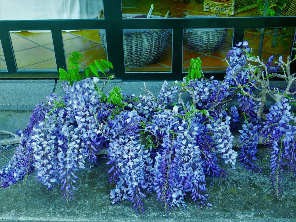 ホテル Quinta Do Cabouco リベイラ・ブラーヴァ エクステリア 写真